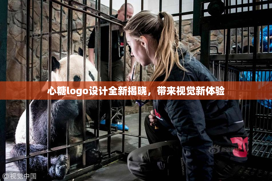 心糖logo设计全新揭晓，带来视觉新体验