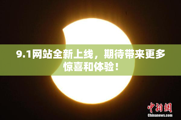 9.1网站全新上线，期待带来更多惊喜和体验！