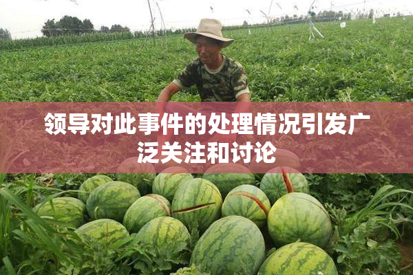 领导对此事件的处理情况引发广泛关注和讨论
