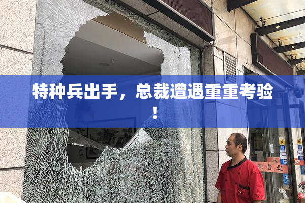 特种兵出手，总裁遭遇重重考验！