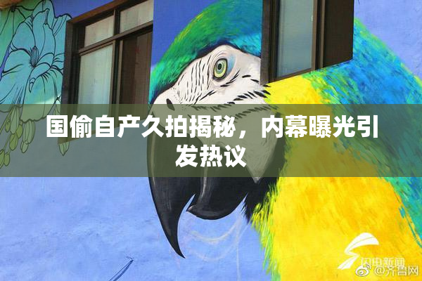 国偷自产久拍揭秘，内幕曝光引发热议