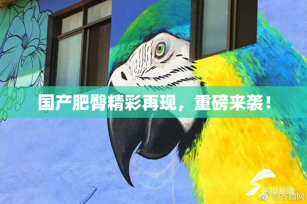 国产肥臀精彩再现，重磅来袭！