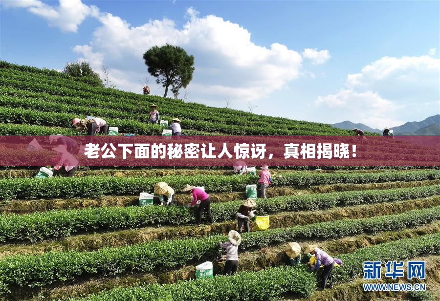 老公下面的秘密让人惊讶，真相揭晓！