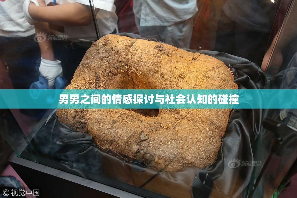 男男之间的情感探讨与社会认知的碰撞