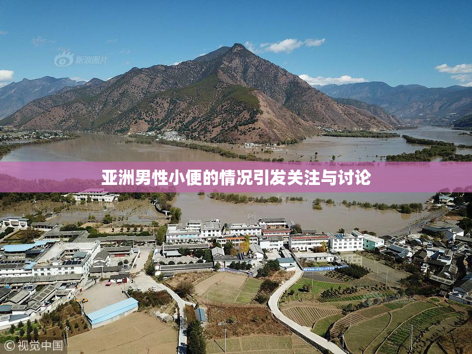 亚洲男性小便的情况引发关注与讨论