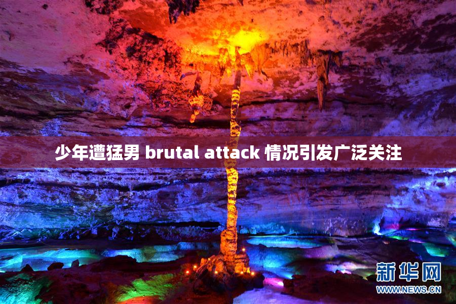 少年遭猛男 brutal attack 情况引发广泛关注