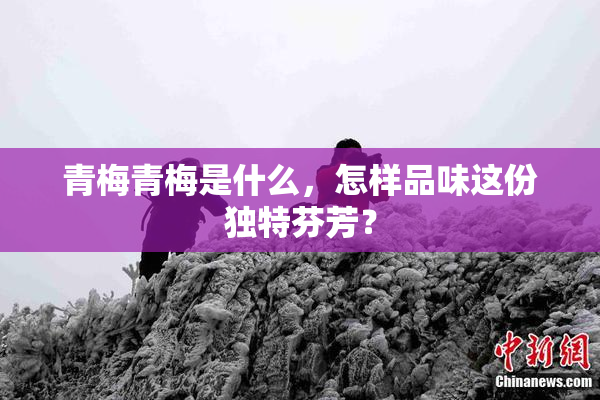 青梅青梅是什么，怎样品味这份独特芬芳？