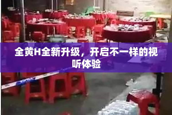 全黄H全新升级，开启不一样的视听体验