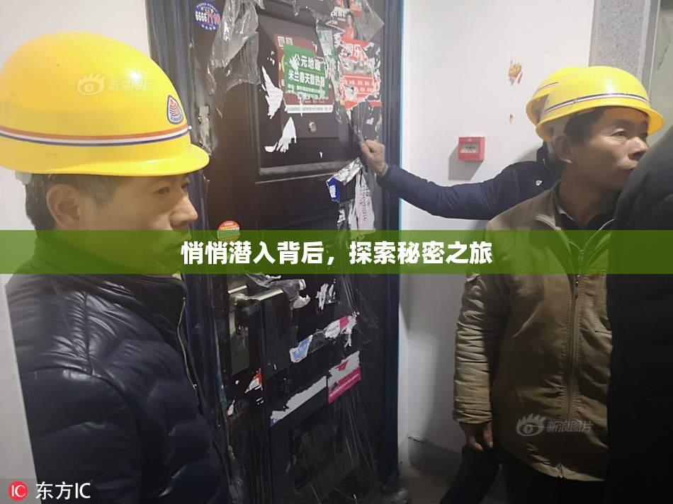 悄悄潜入背后，探索秘密之旅