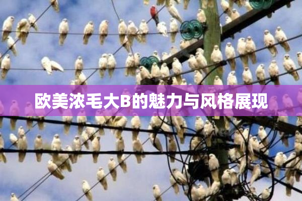 欧美浓毛大B的魅力与风格展现