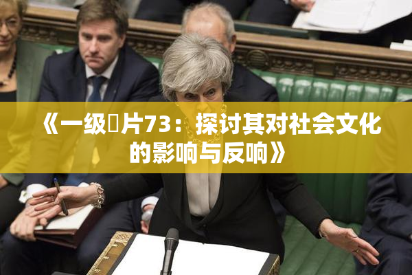 《一级婬片73：探讨其对社会文化的影响与反响》