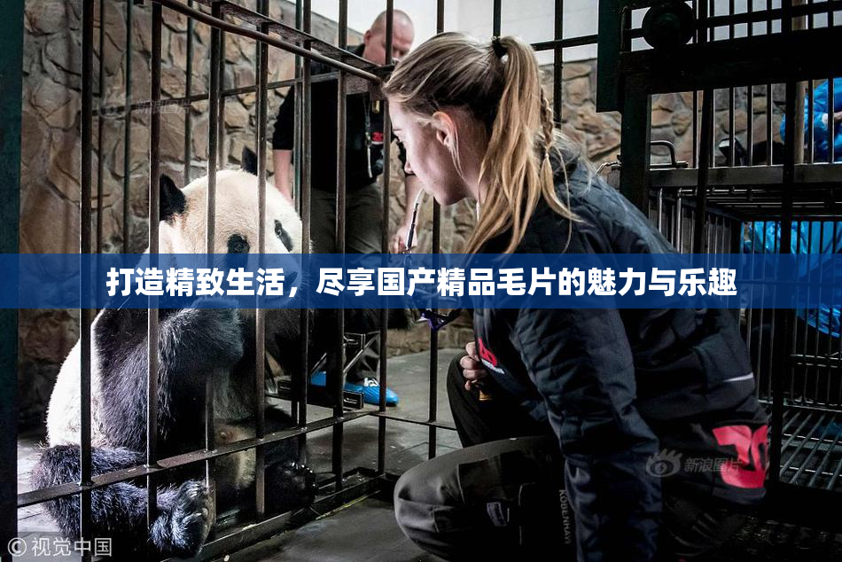 打造精致生活，尽享国产精品毛片的魅力与乐趣