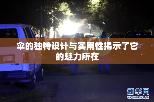 伞的独特设计与实用性揭示了它的魅力所在