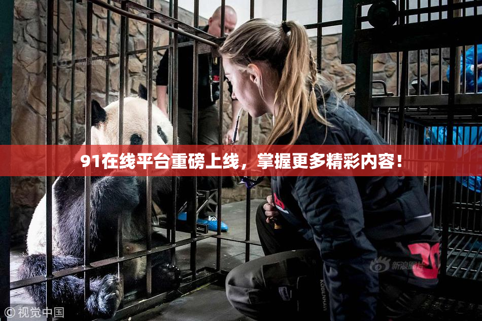 91在线平台重磅上线，掌握更多精彩内容！