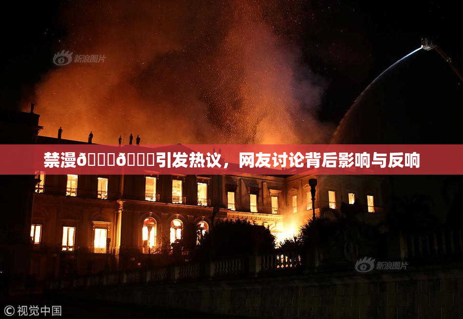 禁漫🍆🍑引发热议，网友讨论背后影响与反响