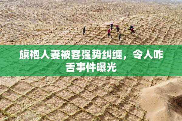 旗袍人妻被客强势纠缠，令人咋舌事件曝光