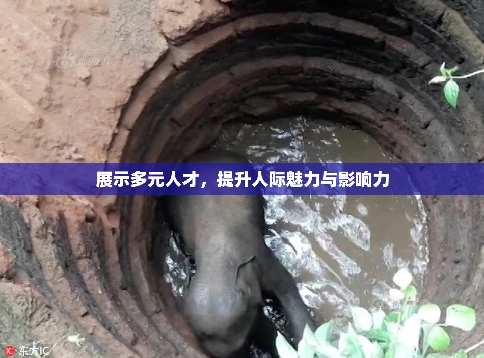 展示多元人才，提升人际魅力与影响力