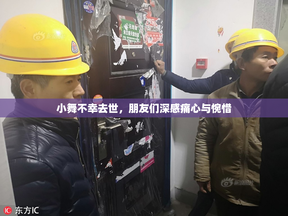 小舞不幸去世，朋友们深感痛心与惋惜