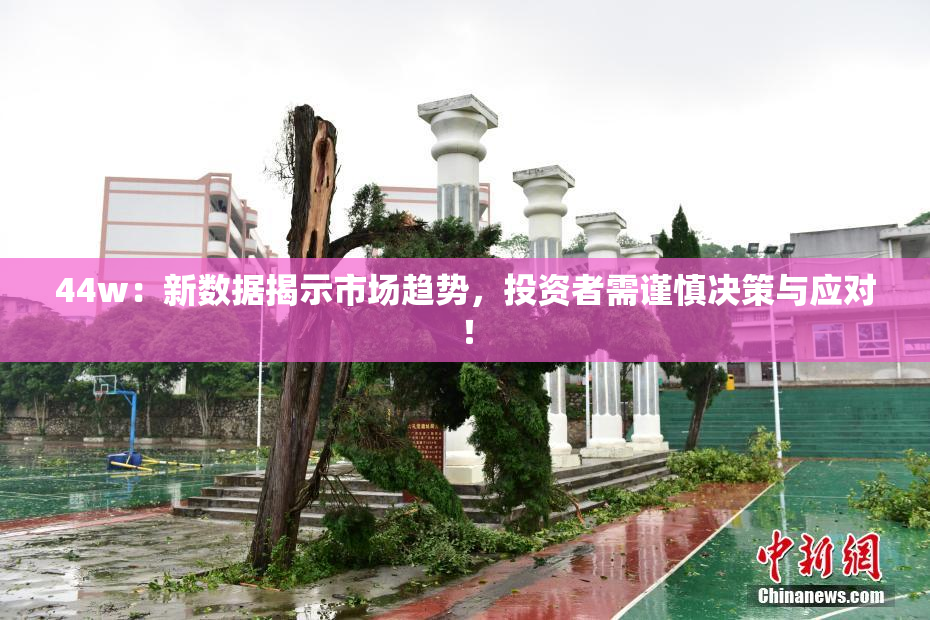 44w：新数据揭示市场趋势，投资者需谨慎决策与应对！
