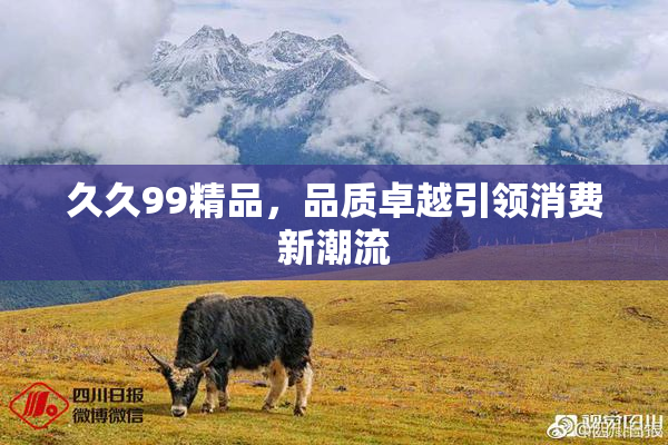 久久99精品，品质卓越引领消费新潮流
