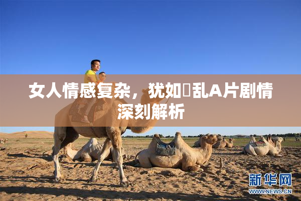 女人情感复杂，犹如婬乱A片剧情深刻解析