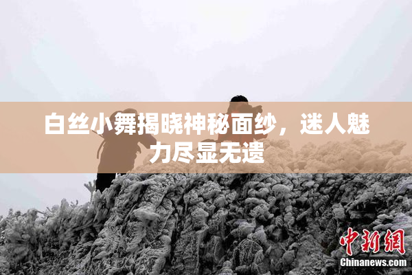白丝小舞揭晓神秘面纱，迷人魅力尽显无遗