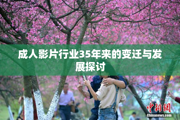 成人影片行业35年来的变迁与发展探讨