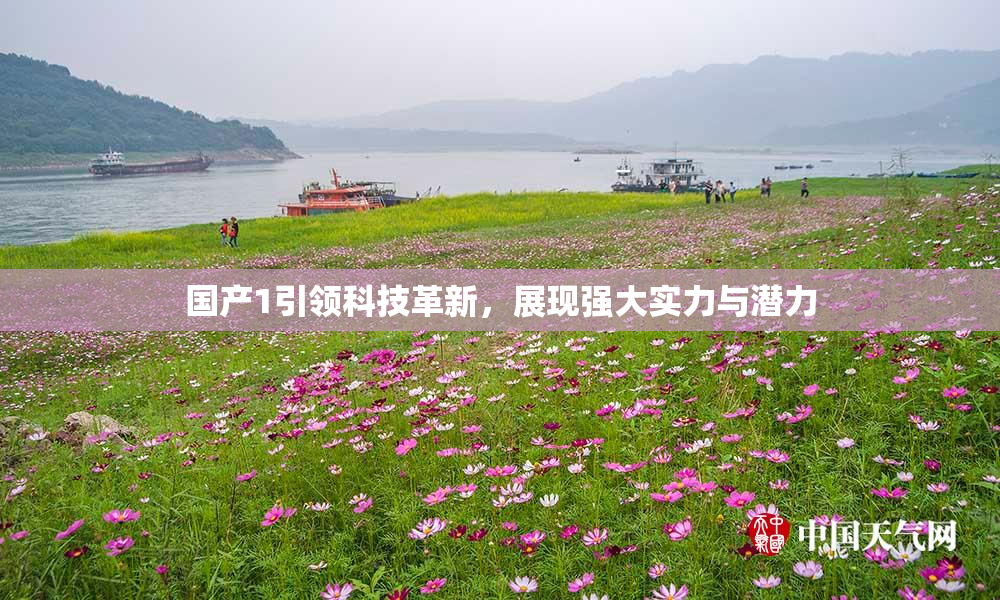 国产1引领科技革新，展现强大实力与潜力