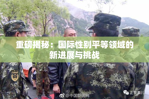 重磅揭秘：国际性别平等领域的新进展与挑战