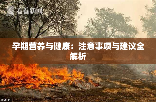孕期营养与健康：注意事项与建议全解析