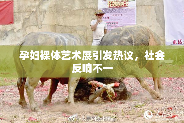 孕妇裸体艺术展引发热议，社会反响不一