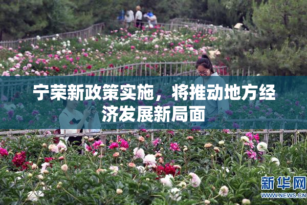 宁荣新政策实施，将推动地方经济发展新局面