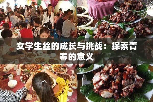 女学生丝的成长与挑战：探索青春的意义