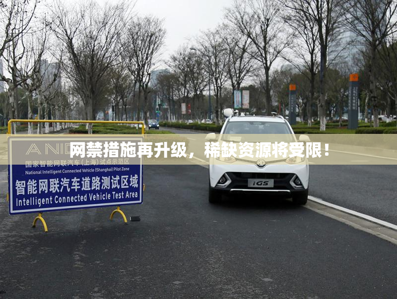 网禁措施再升级，稀缺资源将受限！