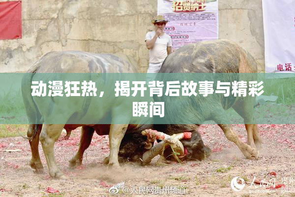 动漫狂热，揭开背后故事与精彩瞬间