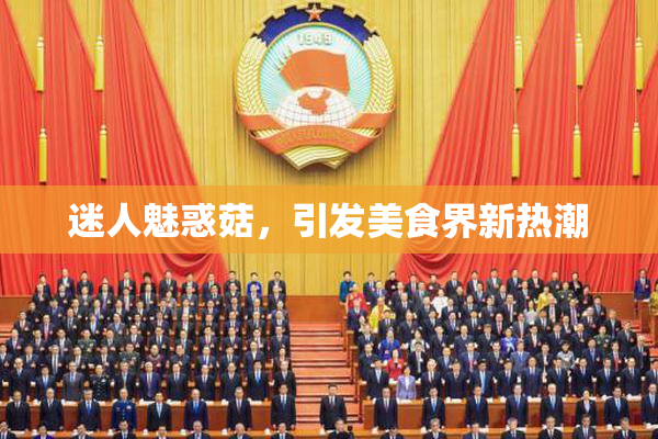迷人魅惑菇，引发美食界新热潮