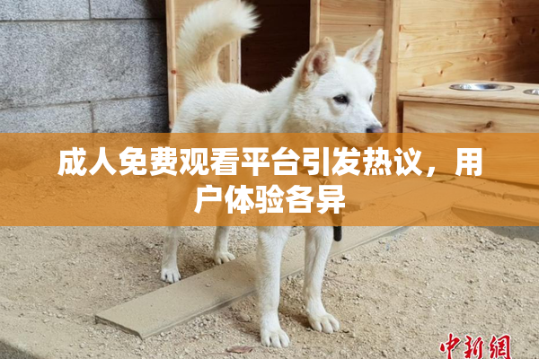 成人免费观看平台引发热议，用户体验各异