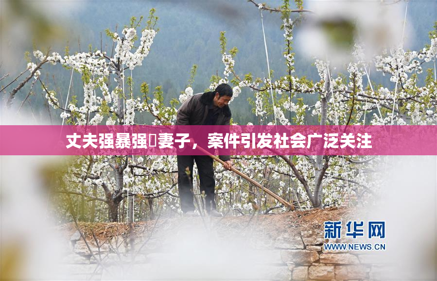 丈夫强暴强姦妻子，案件引发社会广泛关注