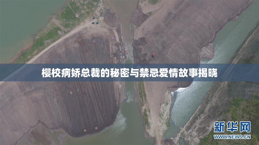 樱校病娇总裁的秘密与禁忌爱情故事揭晓