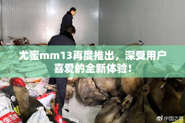 尤蜜mm13再度推出，深受用户喜爱的全新体验！