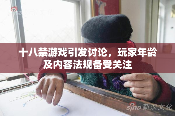 十八禁游戏引发讨论，玩家年龄及内容法规备受关注