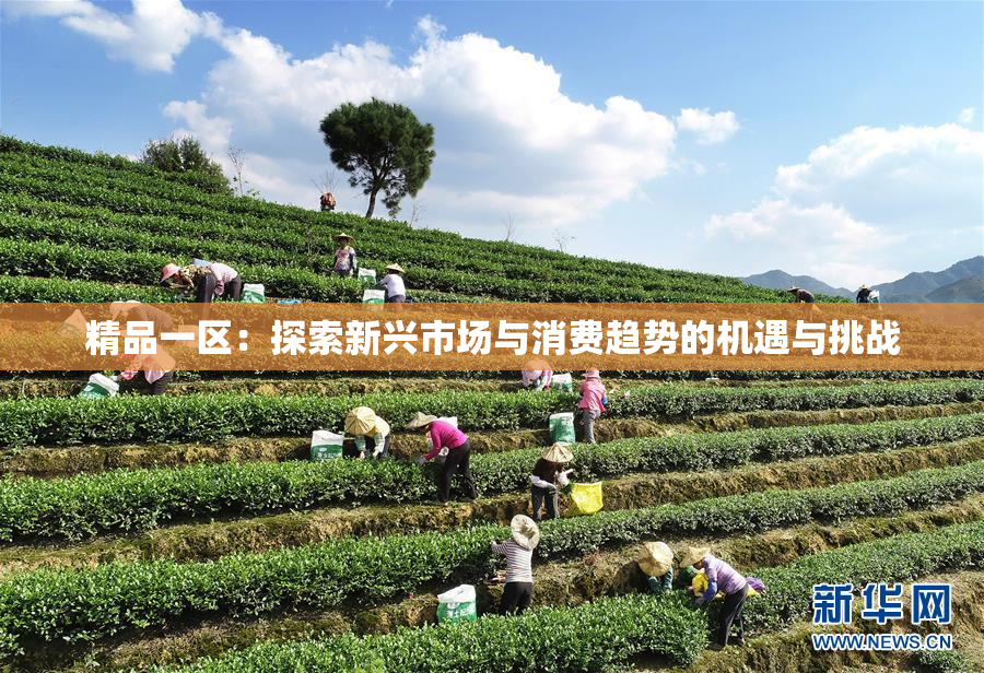 精品一区：探索新兴市场与消费趋势的机遇与挑战