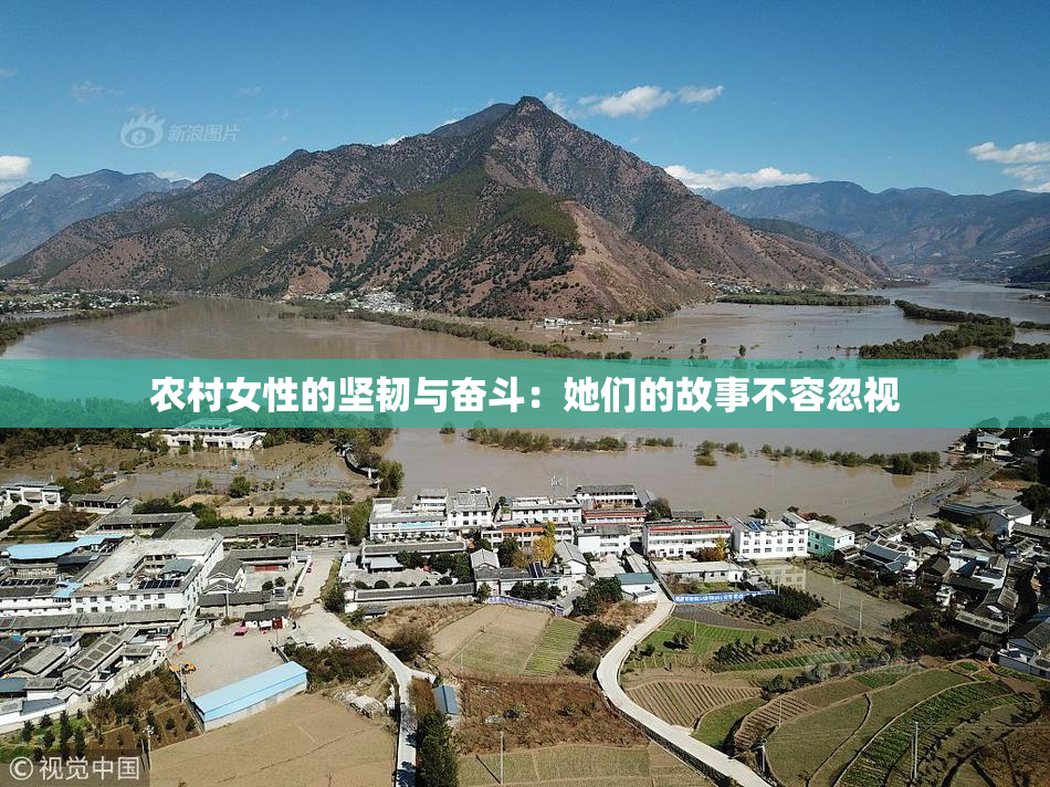 农村女性的坚韧与奋斗：她们的故事不容忽视