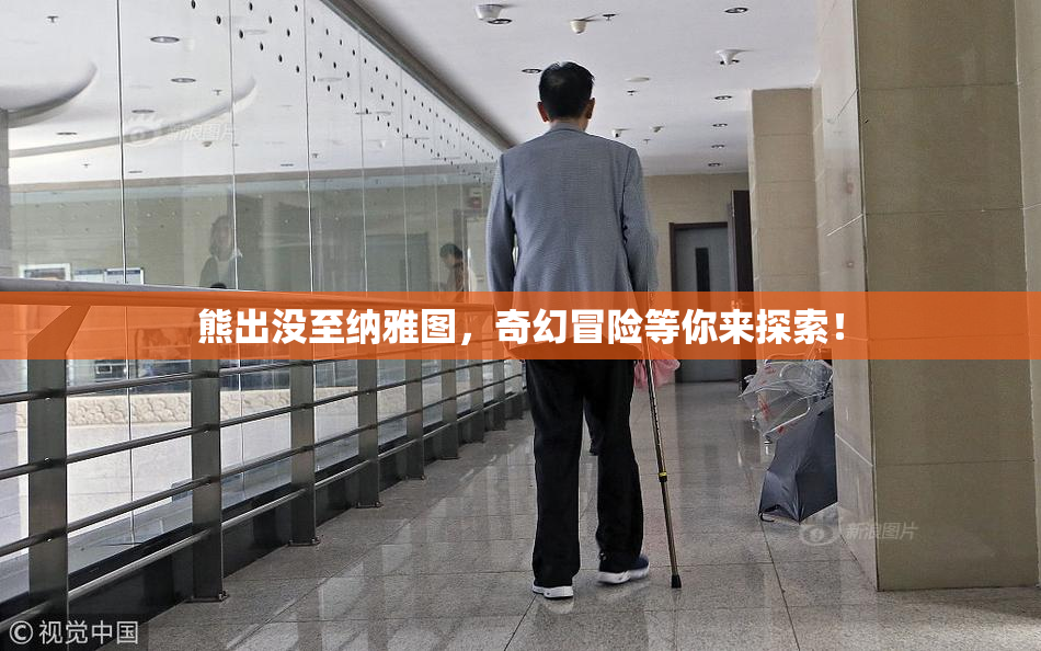 熊出没至纳雅图，奇幻冒险等你来探索！