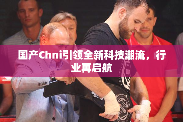 国产Chni引领全新科技潮流，行业再启航