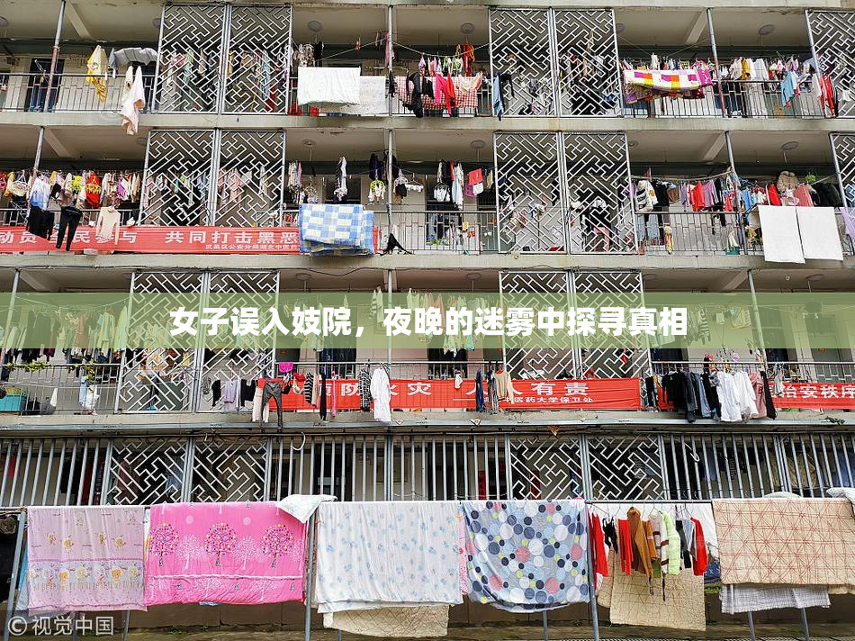 女子误入妓院，夜晚的迷雾中探寻真相