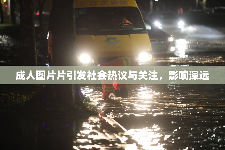 成人图片片引发社会热议与关注，影响深远