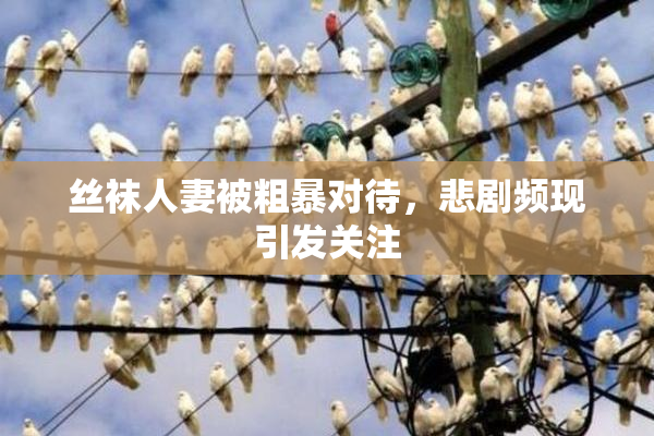 丝袜人妻被粗暴对待，悲剧频现引发关注