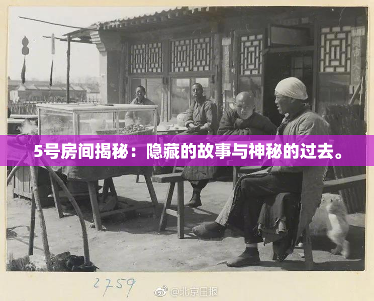 5号房间揭秘：隐藏的故事与神秘的过去。