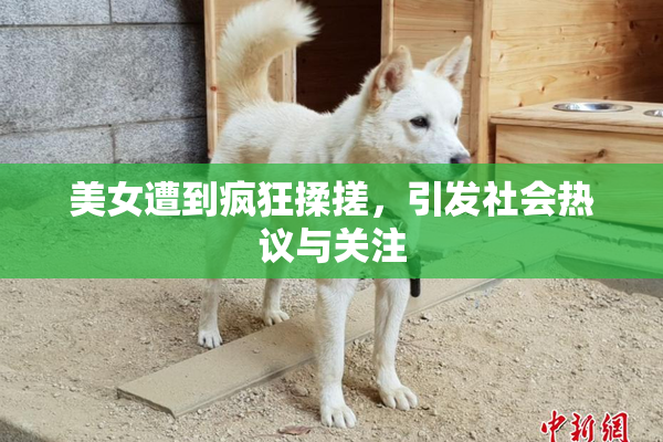 美女遭到疯狂揉搓，引发社会热议与关注
